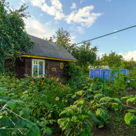 Фотография Продажа дачи в СТ «Свитанак-Перхурово», 17 км от МКАД, Дзержинский район, Раковское направление - фото 8