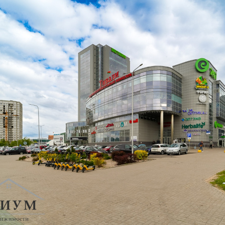 Фотография Офис 38.1 кв.м. на Притыцкого, 29 (Спортивная) - фото 2
