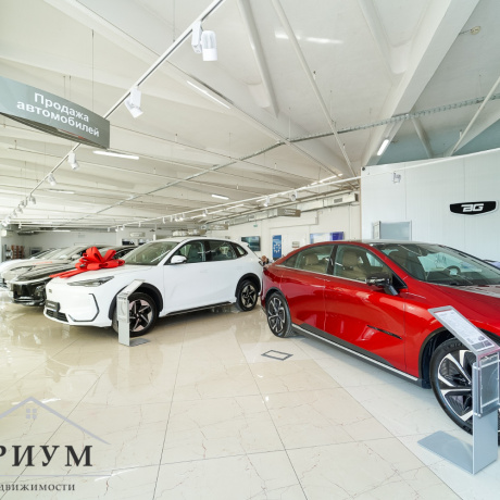 Фотография Аренда помещения автосалона 2087 м2 в БЦ &laquo;Колизей&raquo;, пер. Козлова, 29 - фото 4