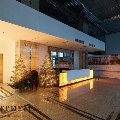 Фотография Арендатор не оплачивается услуги агентства!  Сдаются в аренду помещения в Бизнес-центре &laquo;Capital Palace&raquo;, по адресу ул. Интернациональная, 38. - фото 4