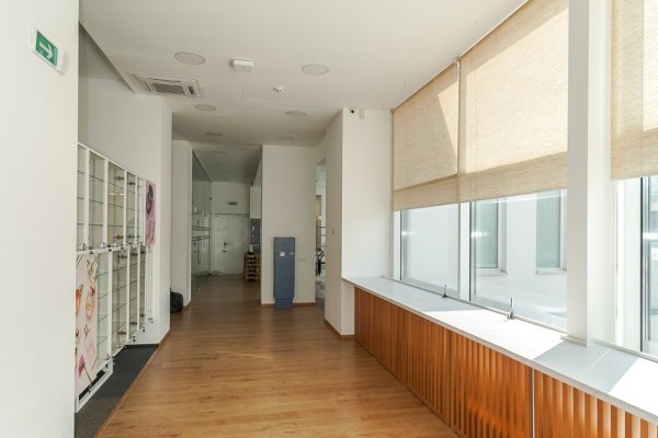 Престижный офис 463,5 м2 на Танка, 4 (метро Фрунзенская) - фото 3