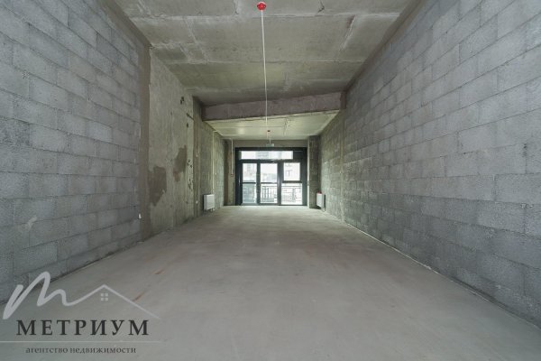 Торговое помещение 44,3 м2, ул. Алферова, д. 10 - фото 4