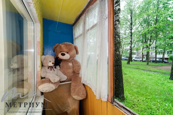 2-комнатная квартира по адресу ГОЛОДЕДА Н.М., 11 - фото 8