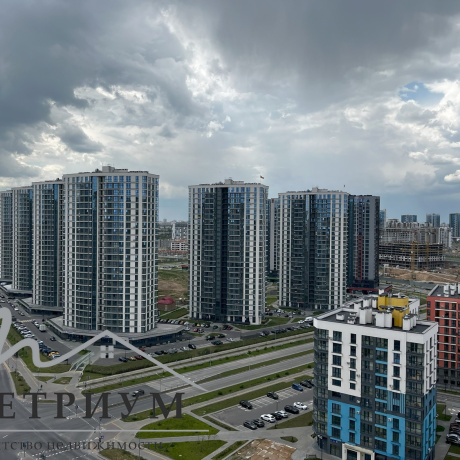 Фотография 1-комнатная квартира по адресу АЛФЕРОВА, 5 - фото 5