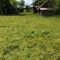 Фотография Продажа участка в деревне Пархово ул Центральная Логойского района. - фото 2