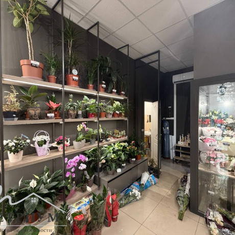 Фотография Аренда торгового помещения 33м2 по адресу ул. В. Хоружей, 17 - фото 4