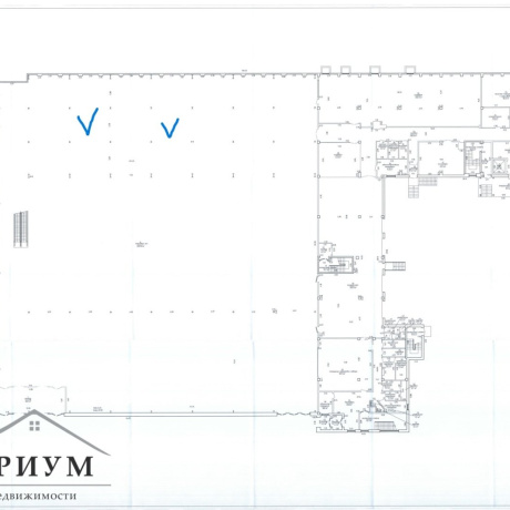 Фотография Аренда торговой площадки в ТЦ &laquo;Озерцо&raquo;, 70-260 м&sup2; - фото 2