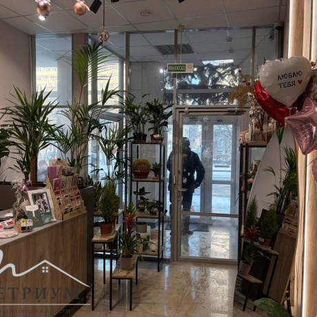 Фотография Аренда торгового помещения 33м2 по адресу ул. В. Хоружей, 17 - фото 2