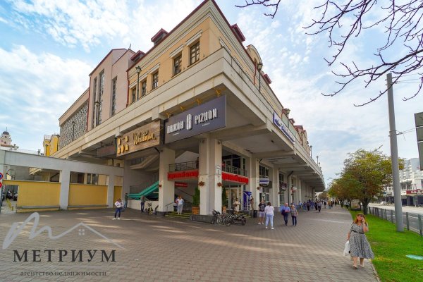 Торговое помещение 30,4 м2, ул. Немига, д. 3 - фото 6