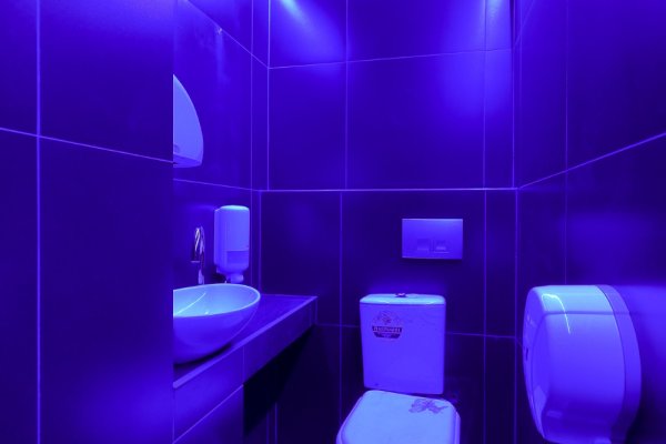 Торговое помещение до 472м2, пр-т Рокоссовского, д. 1 - фото 8