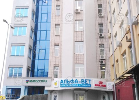 Сдается офисное помещение по адресу Минск, Ульяновская ул., 31/А - фото 1