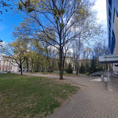 Фотография Офис в самом центре - Площадь Победы - НИЗКАЯ ЦЕНА - фото 6