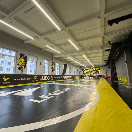 Фотография Офисное  помещение 545,6 м2 в ТЦ Европа - фото 2