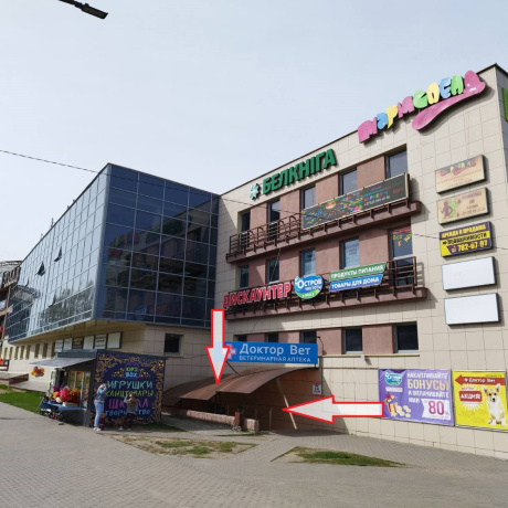 Фотография Аренда многофункционального помещения 102,0  кв.м. в ТЦ Перекрёсток, д. Боровляны. - фото 7