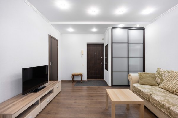 1-комнатная квартира по адресу ПРИТЫЦКОГО, 2/2 - фото 3