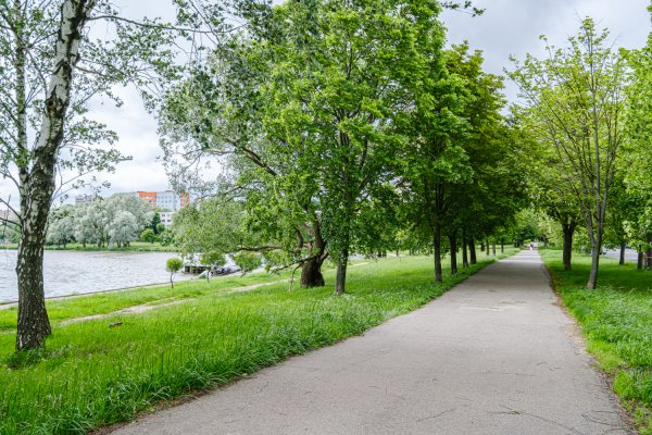 2-комнатная квартира по адресу Корженевского пер., 32 - фото 16