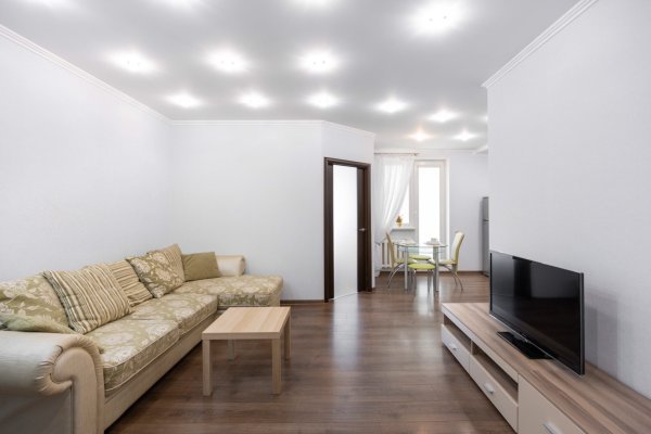 1-комнатная квартира по адресу ПРИТЫЦКОГО, 2/2 - фото 4