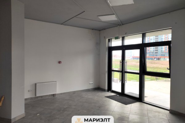 Помещение 45.3м2 (аренда) ул Алферова 14 - фото 4