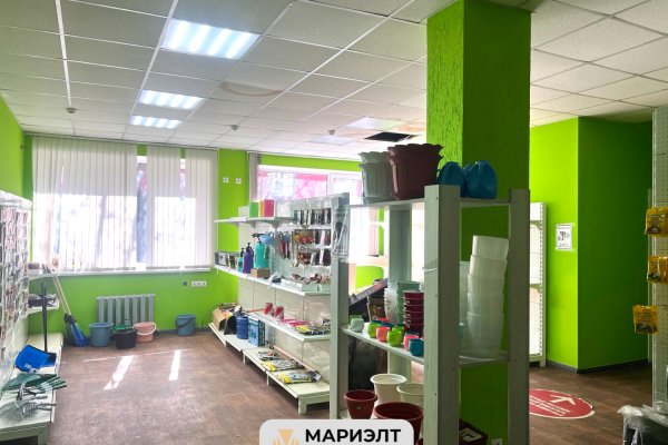 Аренда торгового помещения 319 м2 пер Козлова 1 - фото 6