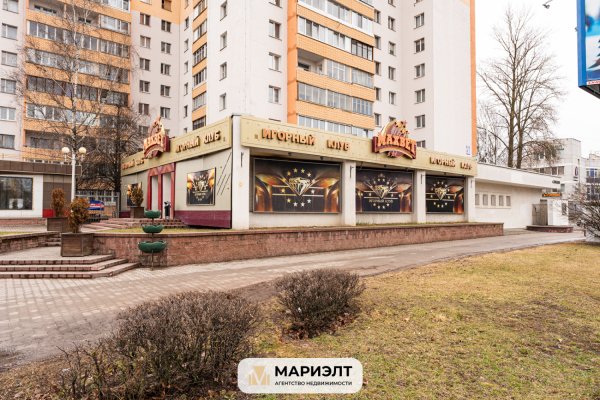 Готовый бизнес 356м2(продажа) пр-т Пушкина 41к1 - фото 2