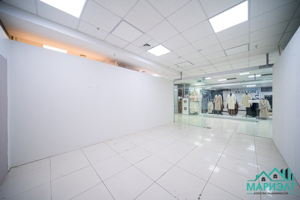 Помещение 22,9м2 (аренда) ул Немига 3 - фото 13