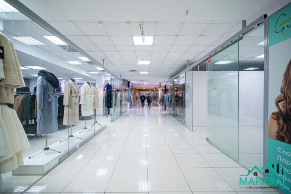 Помещение 22,9м2 (аренда) ул Немига 3 - фото 8