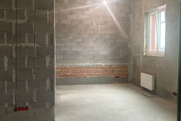 Аренда помещения 43,6 м2 ул Лученка 16 - фото 2