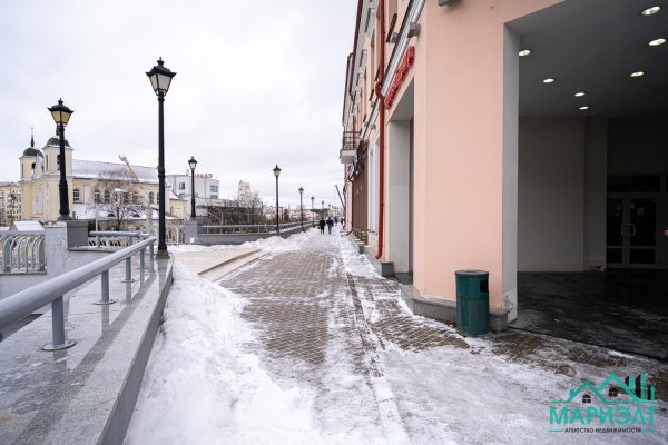 Помещение 22,9м2 (аренда) ул Немига 3 - фото 4