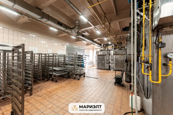 Производство 2802,9 м2 (продажа) Центральная 49 - фото 13