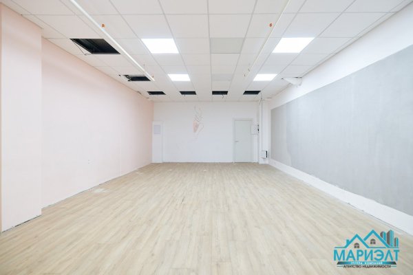 Помещение 88,3м2 (продажа) ул П Мстиславца 18 - фото 16