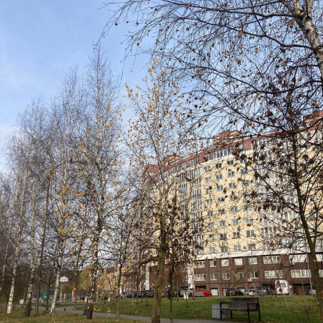 Фотография Офис 102,1 м2 (аренда) ул Ложинская 16 - фото 8