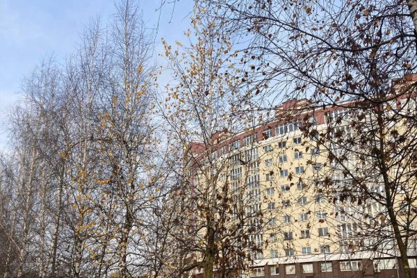 Офис 102,1 м2 (аренда) ул Ложинская 16 - фото 8