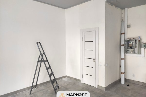 Помещение 45.3м2 (аренда) ул Алферова 14 - фото 7