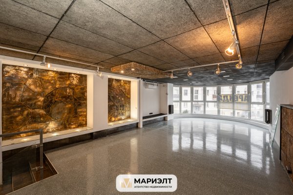 Офис 166,3м2 (аренда) ул Белорусская 15 - фото 2