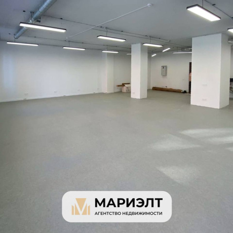 Фотография Офис 102,1м2 (продажа) ул Быховская 10 - фото 9