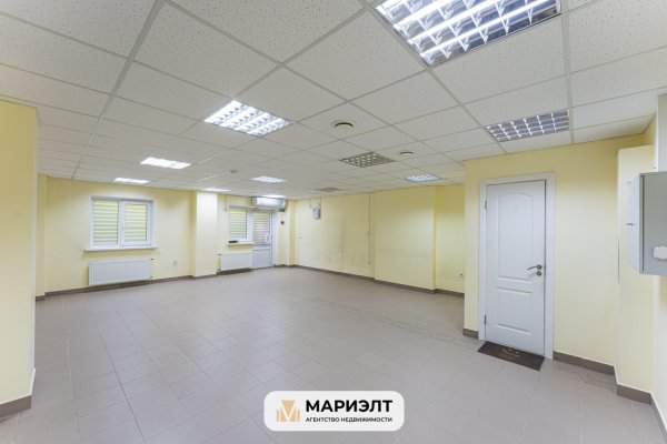Офис 58,8м2(аренда) ул Чюрлениса 26 - фото 4