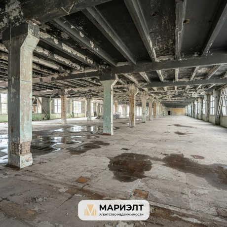 Фотография Помещение 240-6000 м2 (аренда) ул Красная 7/22 - фото 14