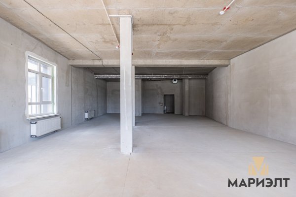 Помещение 130,4м2 (аренда) ул Нововиленская 49 - фото 6