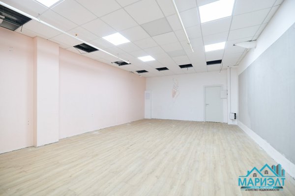 Помещение 88,3м2 (продажа) ул П Мстиславца 18 - фото 15