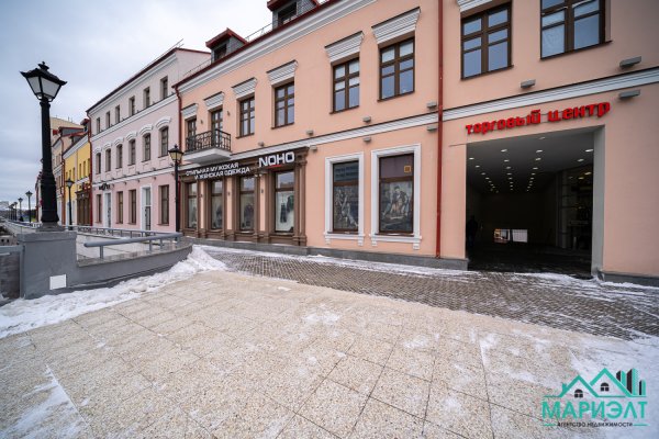 Помещение 22,9м2 (аренда) ул Немига 3 - фото 3