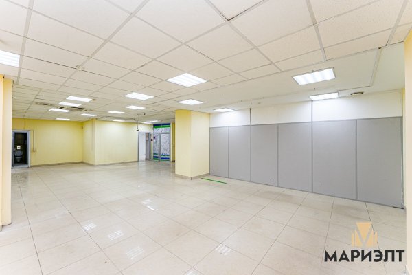 Помещение 368,8м2 (аренда) ул Хоружей 19 - фото 9