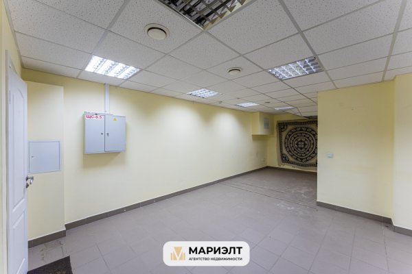 Офис 58,8м2(аренда) ул Чюрлениса 26 - фото 3