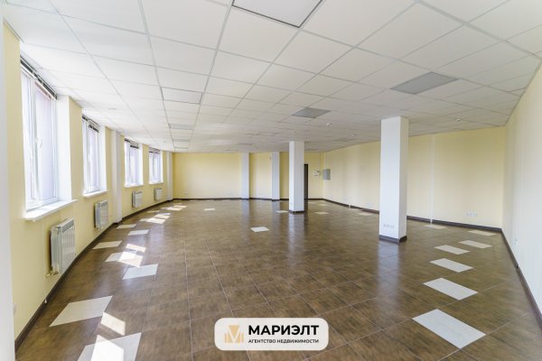 Офис 97,3 м2 (аренда) ул Либкнехта 66 - фото 8