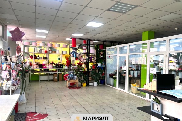 Аренда торгового помещения 319 м2 пер Козлова 1 - фото 5