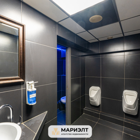 Фотография Готовый бизнес 356м2(продажа) пр-т Пушкина 41к1 - фото 19