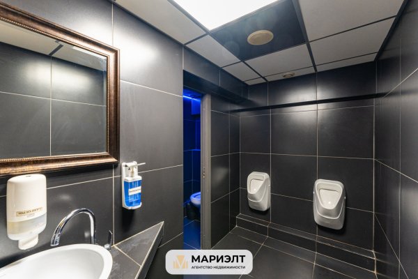 Готовый бизнес 356м2(продажа) пр-т Пушкина 41к1 - фото 19