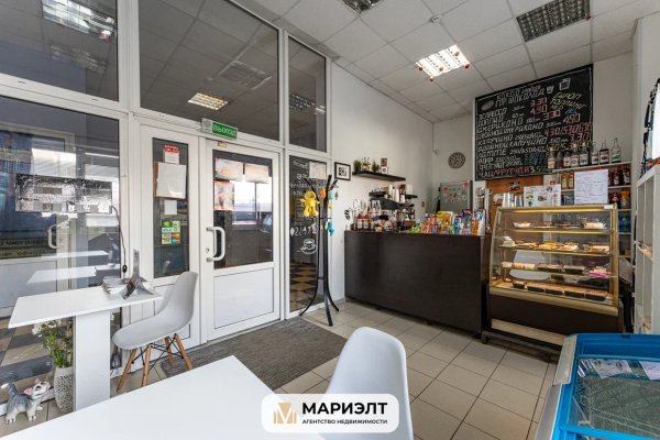 Помещение 29,9м2(продажа) ул Тимирязева 121к4 - фото 8