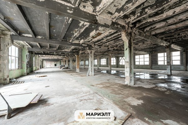 Помещение 240-6000 м2 (аренда) ул Красная 7/22 - фото 13
