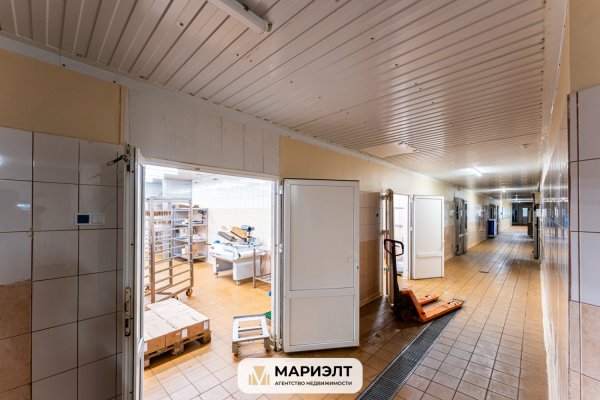 Производство 2802,9 м2 (продажа) Центральная 49 - фото 12