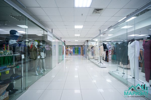 Помещение 22,9м2 (аренда) ул Немига 3 - фото 10